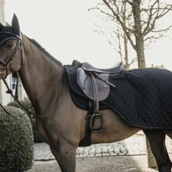 Best Kentucky Horsewear - Couvre-reins 160g Noir