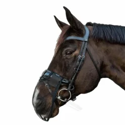 Clearance Kentucky Horsewear - Filet de nez anti-mouches Noir