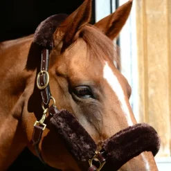 Clearance Kentucky Horsewear - Fourreaux de licol mouton 4 pcs Marron