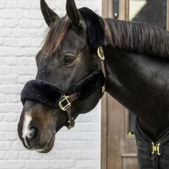 Kentucky Horsewear - Fourreaux de licol mouton 4 pcs Noir Outlet