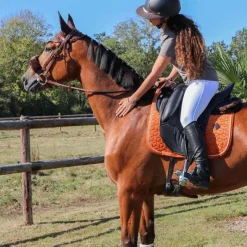 Hot Kentucky Horsewear - Fourreau de muserolle Marron