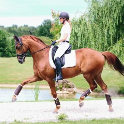 Clearance Kentucky Horsewear - Guêtres cheval Turn Out cuir postérieurs x2 Marron