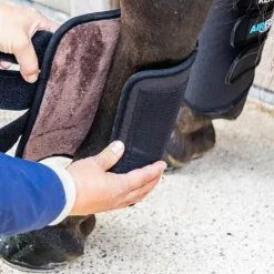 Kentucky Horsewear - Guêtres de cross postérieurs 3D Air Flow Skin Friendly Noir Online