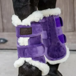 Kentucky Horsewear - Guêtres fermées cuir velvet contrast royal x2 Violet Sale