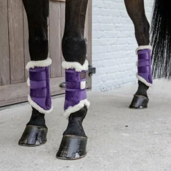 Kentucky Horsewear - Guêtres fermées cuir velvet contrast royal x2 Violet Sale