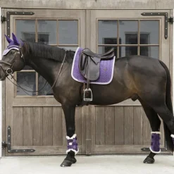 Kentucky Horsewear - Guêtres fermées cuir velvet contrast royal x2 Violet Sale