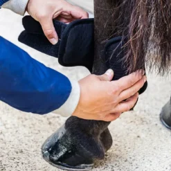 Kentucky Horsewear - Guêtres de cross courtes postérieurs 3D Air Flow Noir Discount