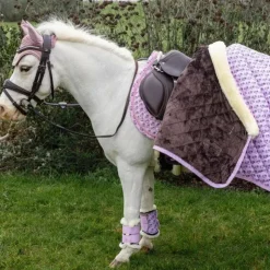 Kentucky Horsewear - Guêtres mouton antérieurs Sammy Collection vieux Rose