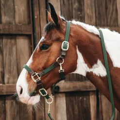 Best Kentucky Horsewear - Licol cheval nylon tressé olive Vert