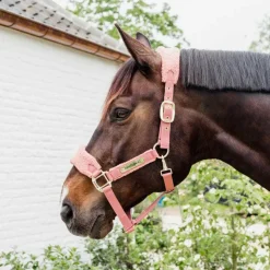 Hot Kentucky Horsewear - Licol polaire Teddy vieux Rose