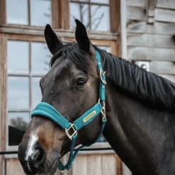Kentucky Horsewear - Licol Velvet émeraude Bleu New