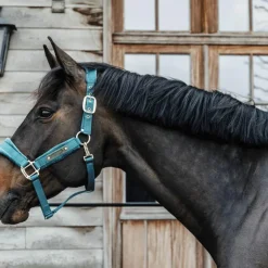 Kentucky Horsewear - Licol Velvet émeraude Bleu New