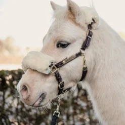 New Kentucky Horsewear - Licol en cuir mouton pour Minis