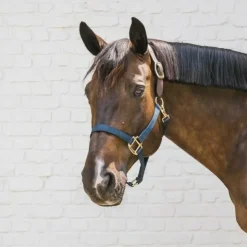 Kentucky Horsewear - Licol nylon Breakaway Marine Best