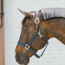 Kentucky Horsewear - Licol nylon Breakaway Marine Best