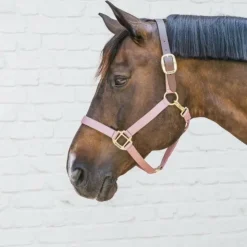 New Kentucky Horsewear - Licol nylon Breakaway vieux Rose