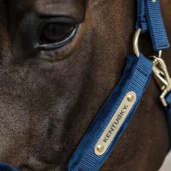 Sale Kentucky Horsewear - Licol Velvet Marine