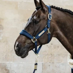 Sale Kentucky Horsewear - Licol Velvet Marine