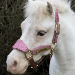 Kentucky Horsewear - Licol velvet paillette vieux Rose Online