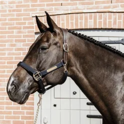 Sale Kentucky Horsewear - Licol anatomique nylon Marine