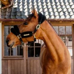 Outlet Kentucky Horsewear - Licol nylon mouton soft Noir