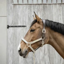 Discount Kentucky Horsewear - Licol anatomique nylon Beige