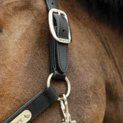 Kentucky Horsewear - Licol anatomique nylon Noir Outlet