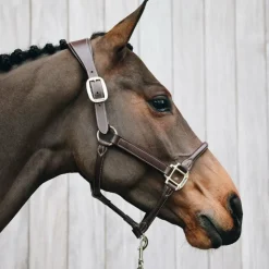 Kentucky Horsewear - Licol cheval anatomique Marron Online