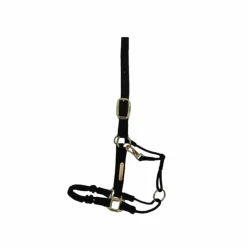 Best Kentucky Horsewear - Licol cheval Control Noir