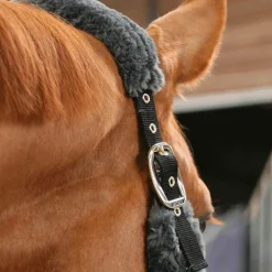 Kentucky Horsewear - Licol de transport mouton gris Online