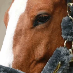 Kentucky Horsewear - Licol de transport mouton gris Online