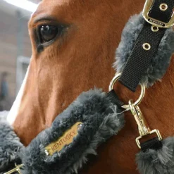 Kentucky Horsewear - Licol de transport mouton gris Online