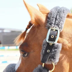 Kentucky Horsewear - Licol de transport mouton gris Online