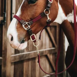 Online Kentucky Horsewear - Longe nylon tressé 2m Bordeaux
