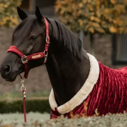 Kentucky Horsewear - Longe nylon 2m Bordeaux New