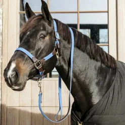 Kentucky Horsewear - Longe de nylon tressé clair Bleu Online