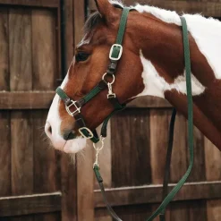 Kentucky Horsewear - Longe nylon tressé olive 2 m Vert New