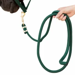 Kentucky Horsewear - Longe Rope Basic pine green 2m Vert Best