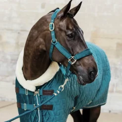 Kentucky Horsewear - Longe nylon 2m Velvet émeraude Bleu Hot