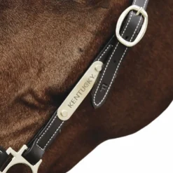 New Kentucky Horsewear - Plaque pour licol Or