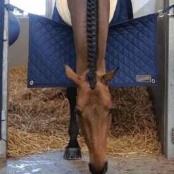 Kentucky Horsewear - Porte de box Marine Hot