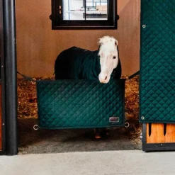 Kentucky Horsewear - Porte de box foncé Vert