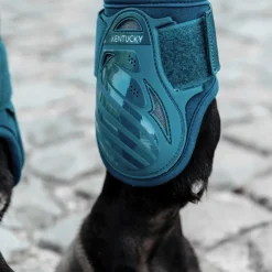 Outlet Kentucky Horsewear - Protège-boulets jeunes chevaux emeraude Bleu