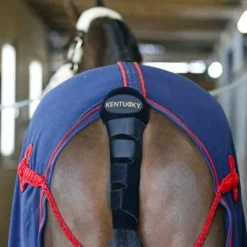 Kentucky Horsewear - Protège-queue technique Noir Online