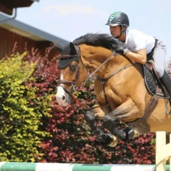 Kentucky Horsewear - Sangle bavette Marron Clearance