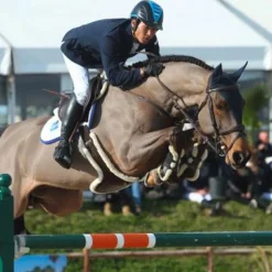 Outlet Kentucky Horsewear - Sangle bavette mouton Marron