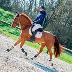 Online Kentucky Horsewear - Tapis de selle Laine beige