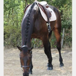 Online Kentucky Horsewear - Tapis de selle Laine beige