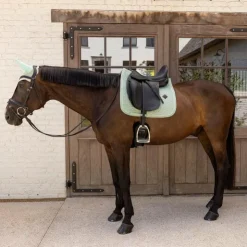 Online Kentucky Horsewear - Tapis de dressage Velvet mint Vert
