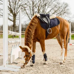 Kentucky Horsewear - Tapis de selle color edition cuir marine pour minis MarineVariantePoney A/ B/ C / Marine - 69,99€ Hot